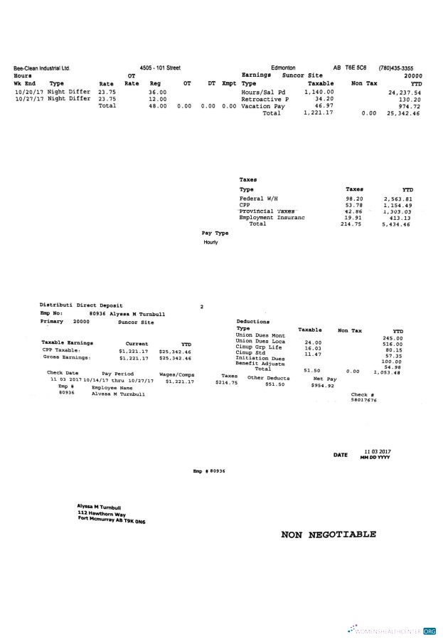 Download Bee Clean Industrial Ltd. PayStub Photoshop template